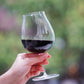 Nautilus 15oz Wine<br> [450ml]