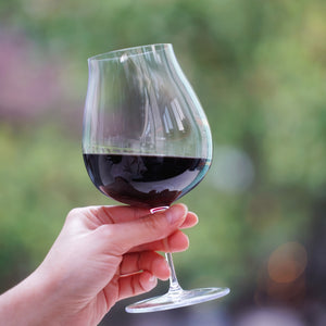 Nautilus 15oz Wine<br> [450ml]